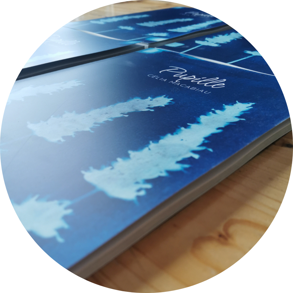 Plusieurs livres de Pupille