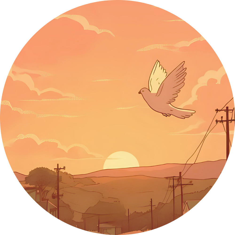 Image représentant un coucher de soleil et une colombe, symbole de la paix.