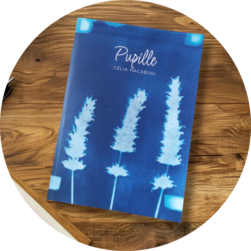 Livre Pupille, première de couverture posé sur un meuble en bois